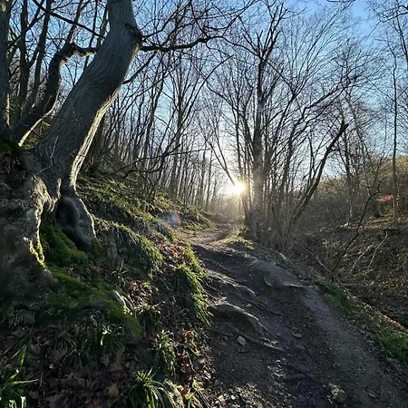 Haus Eifelglueck Am Stausee Obermaubach * Kreuzau