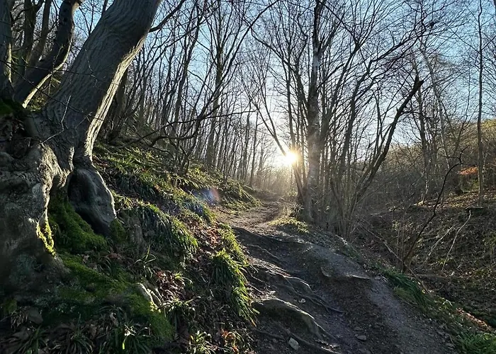 Haus Eifelglueck Am Stausee Obermaubach * Kreuzau